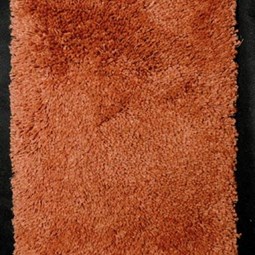DSP-066